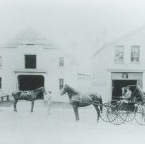 Vetrinary Infirmary and Palmer's Livery